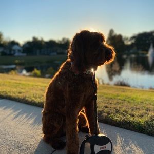 Meet your Posher, Jack